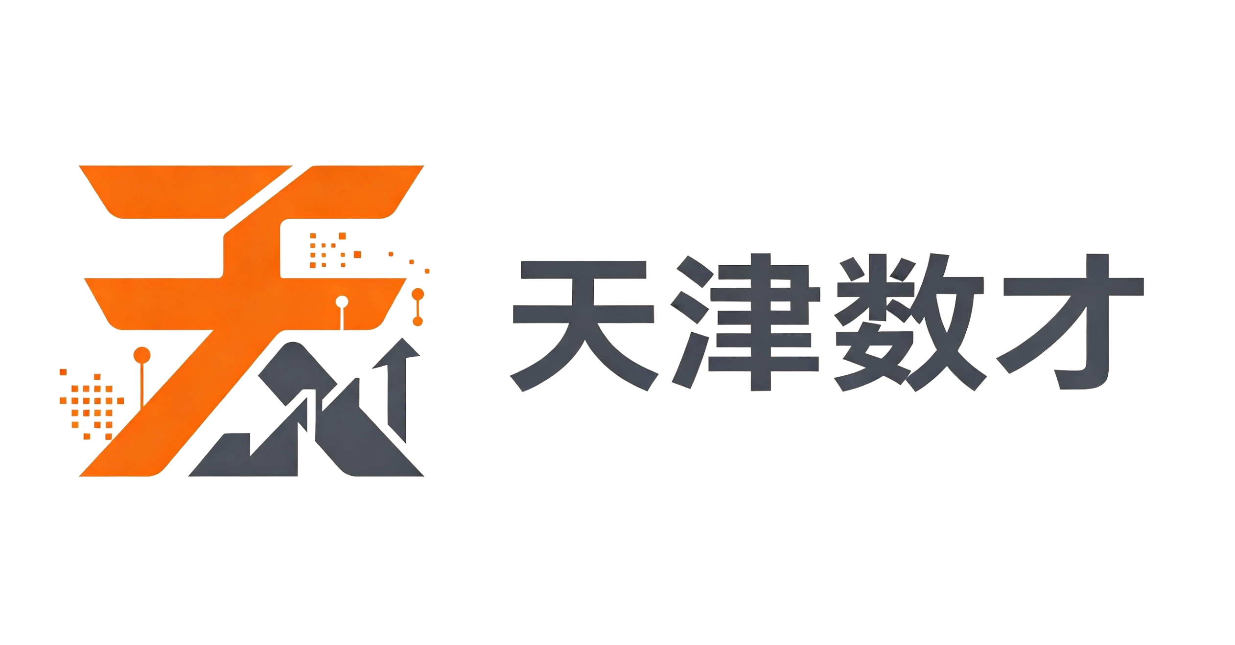 天津数才